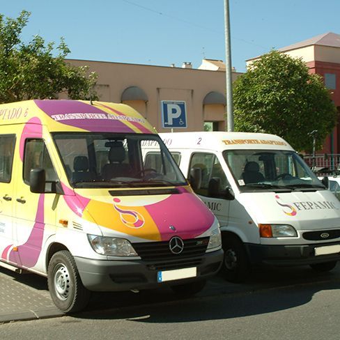 TRANSPORTE-ADAPTADO
