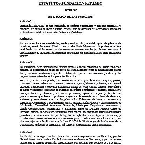 estatutos-fundacion-fepamic-2008